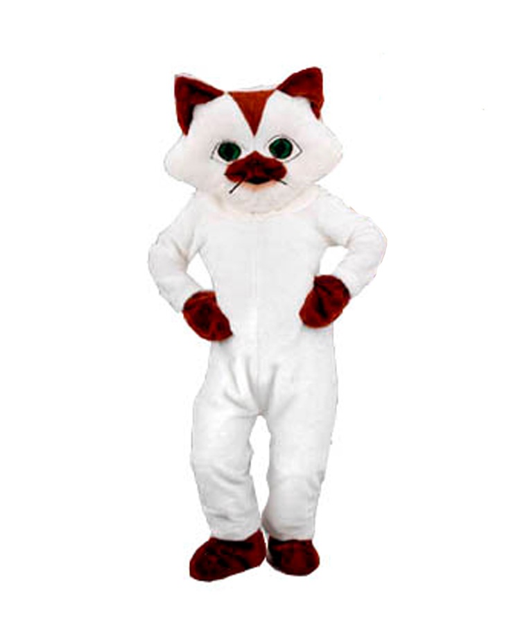 33p Katzen Kostüm günstig Karneval kaufen Maskottchen